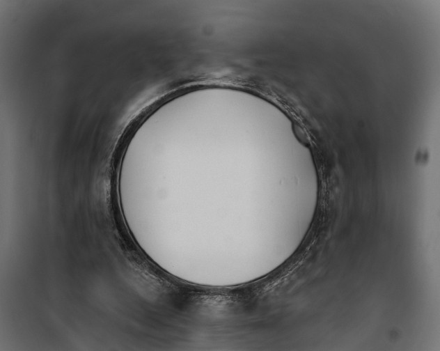 X0000099970344200806201407