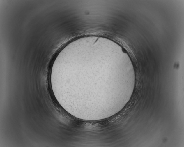 X0000099970346200806201407