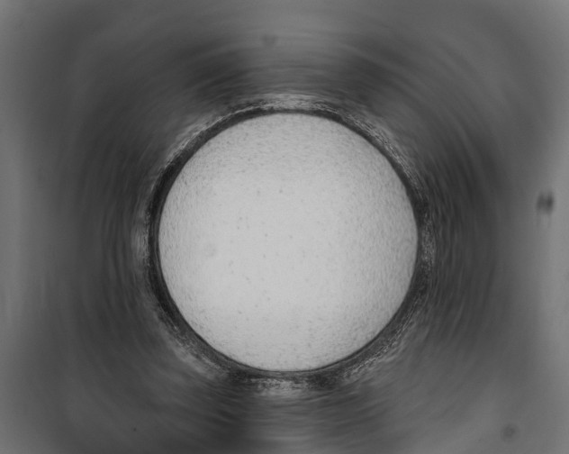 X0000099970347200806201407