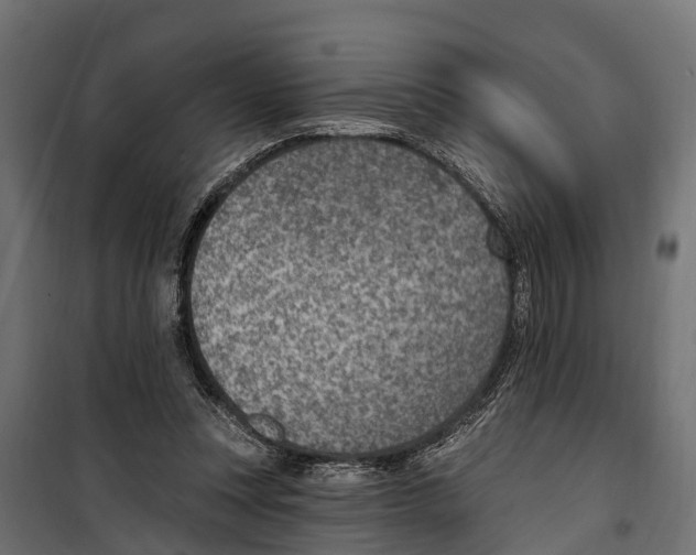 X0000099970351200806201407