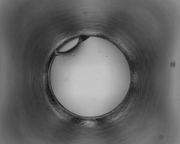 X0000099970352200806201407