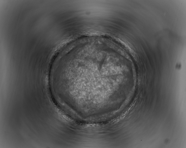 X0000099970353200806201407