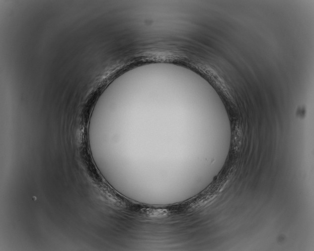 X0000099970355200806201407