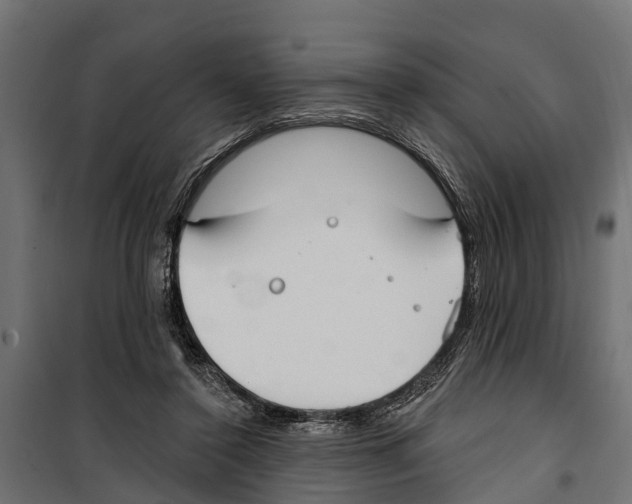 X0000099970356200806201407