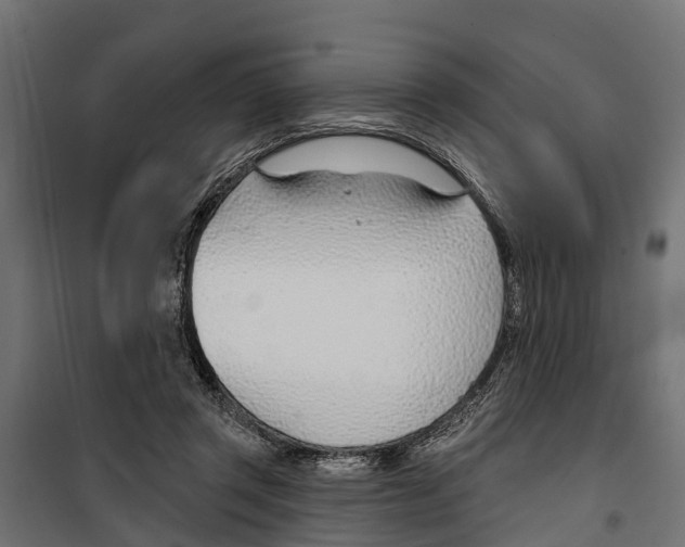 X0000099970357200806201407