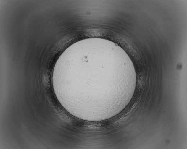 X0000099970359200806201407