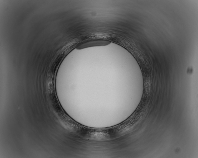 X0000099970360200806201407