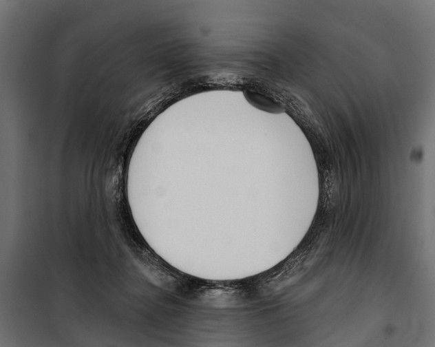 X0000099970364200806201407