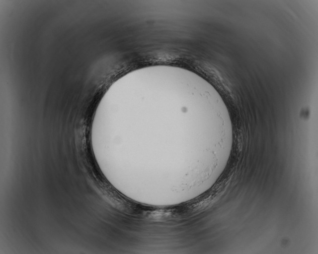 X0000099970366200806201407