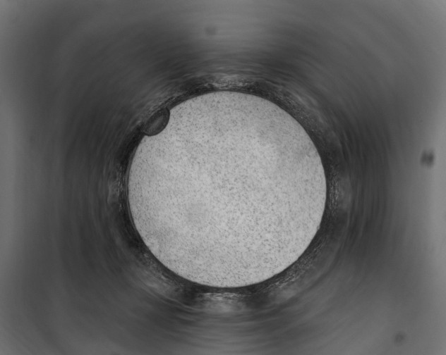 X0000099970367200806201407