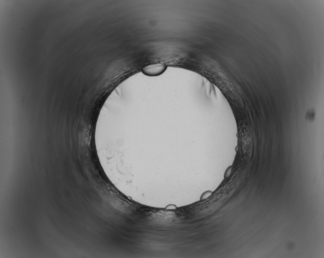 X0000099970374200806201407