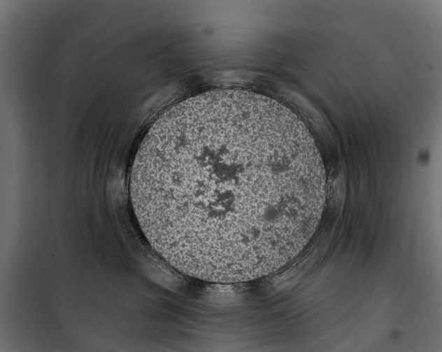 X0000099970381200806201407