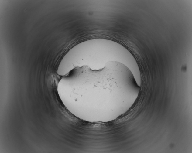 X0000099970382200806201407