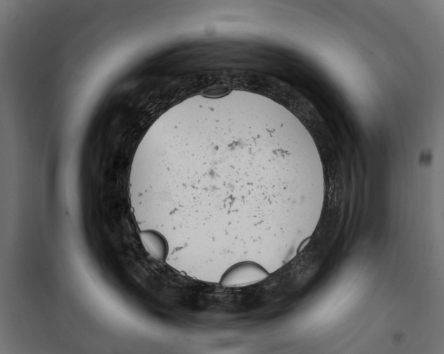 X0000099970383200806201407