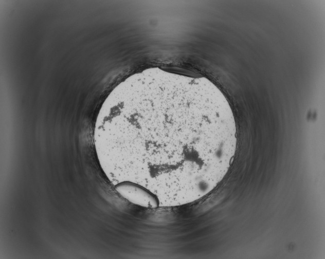 X0000099970384200806201408