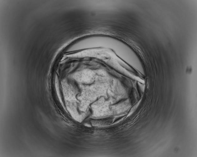 X0000099970388200806201407