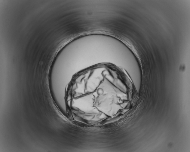 X0000099970389200806201407