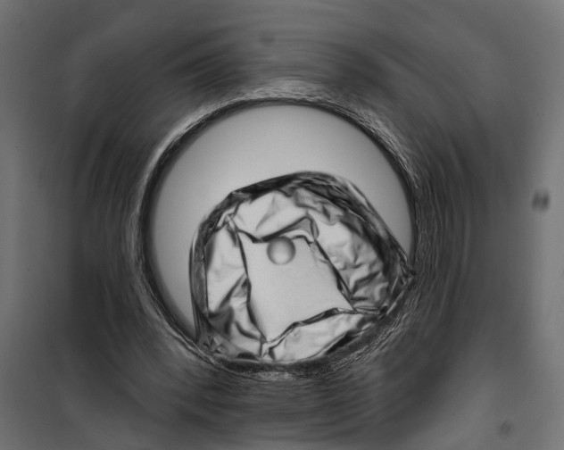 X0000099970392200806201407