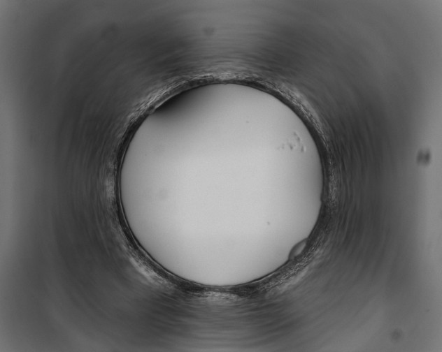 X0000099970393200806201407