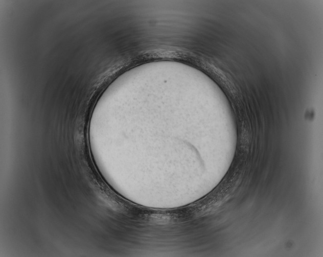 X0000099970394200806201407