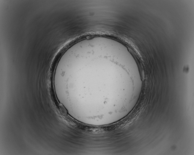 X0000099970395200806201407