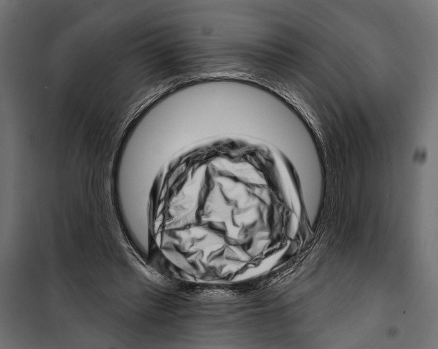 X0000099970397200806201407