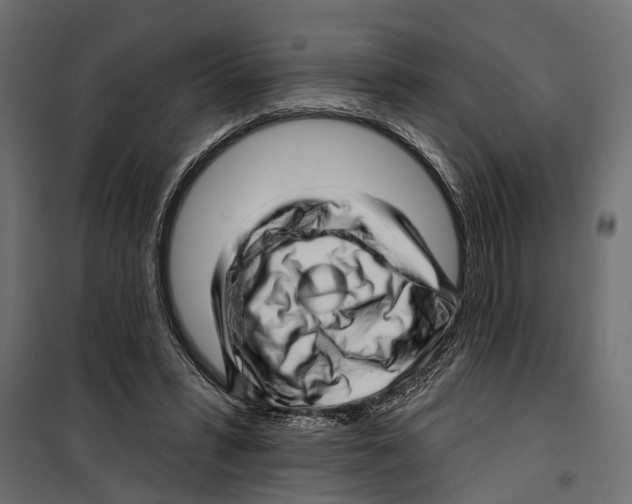 X0000099970399200806201407