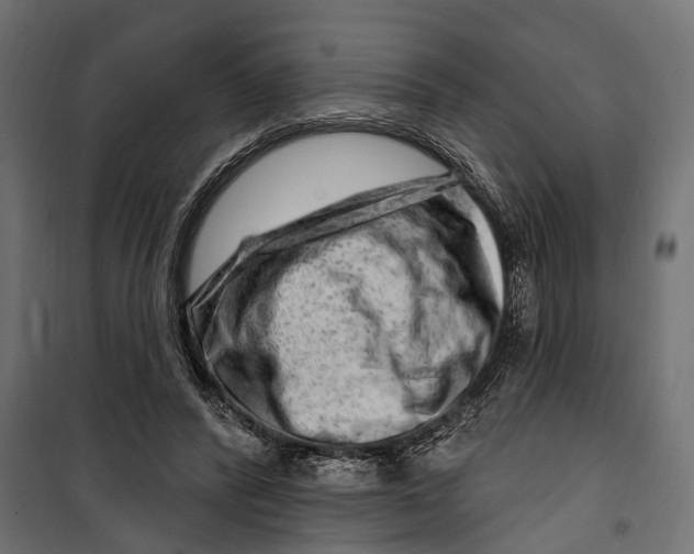 X0000099970400200806201407