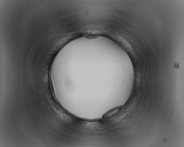 X0000099970401200806201407