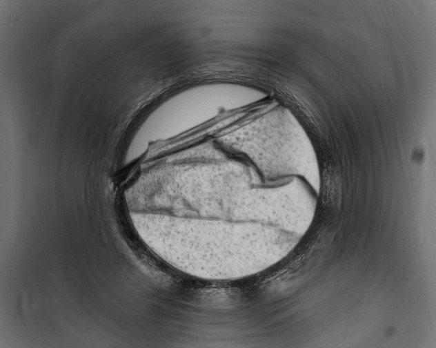 X0000099970404200806201406