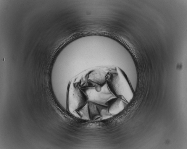 X0000099970405200806201406