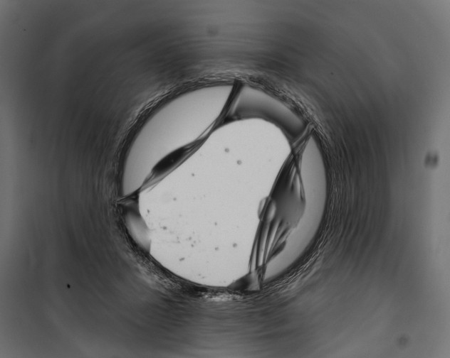 X0000099970407200806201406