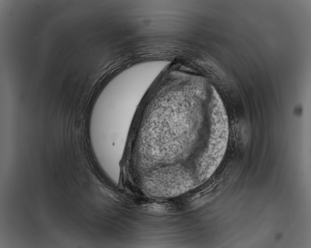 X0000099970412200806201406