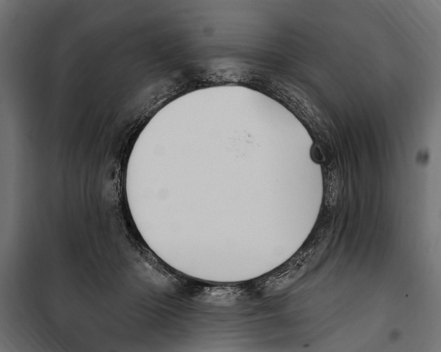 X0000099970414200806201406