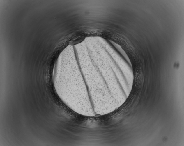 X0000099970416200806201406