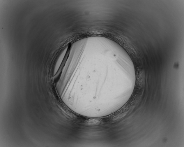 X0000099970418200806201406