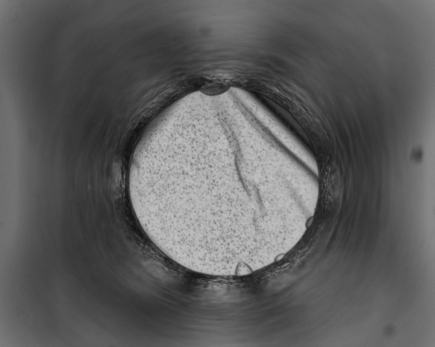 X0000099970420200806201406