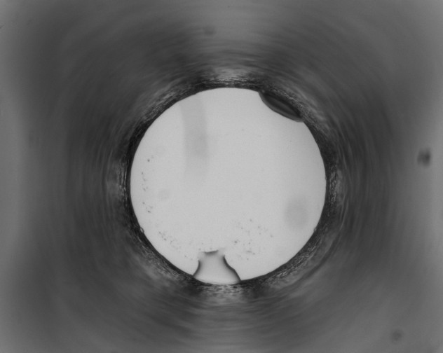 X0000099970421200806201406