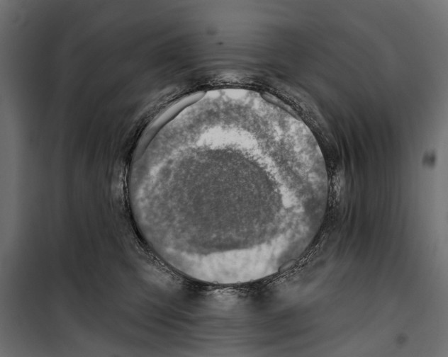 X0000099970423200806201406