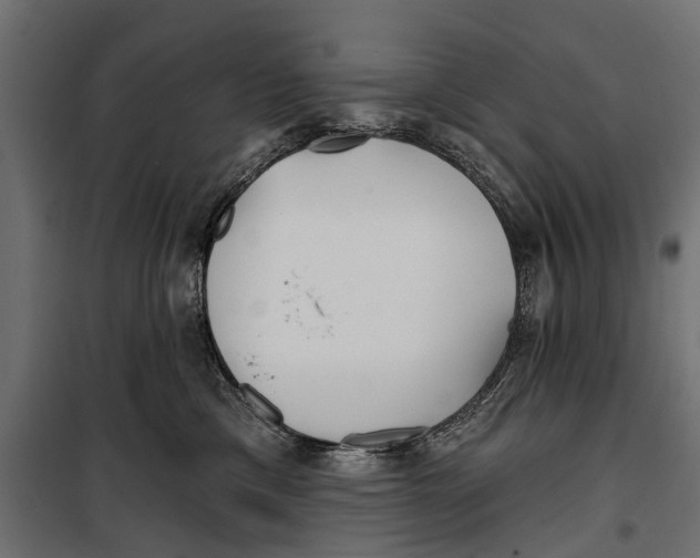 X0000099970425200806201406