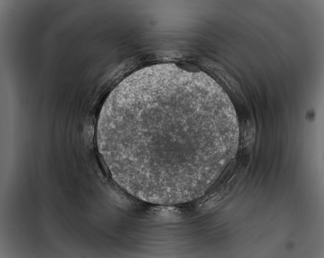 X0000099970427200806201406