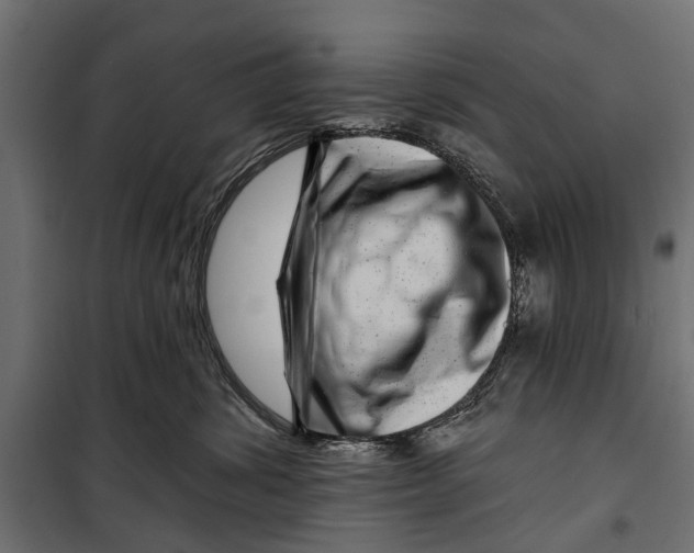 X0000099970428200806201406