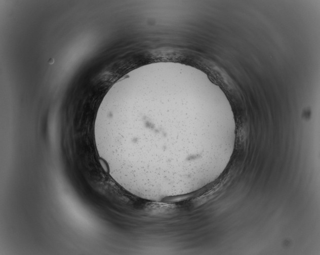 X0000099970429200806201406