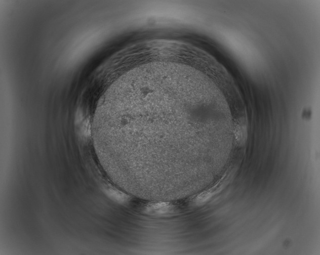 X0000099970431200806201406