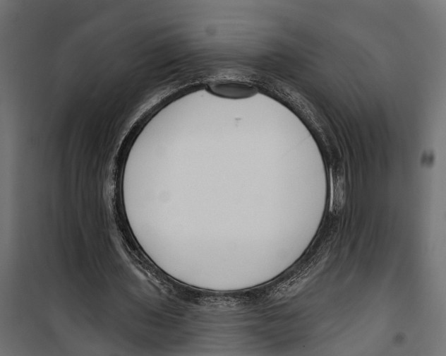 X0000099970435200806201405