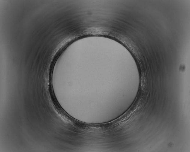 X0000099970438200806201405