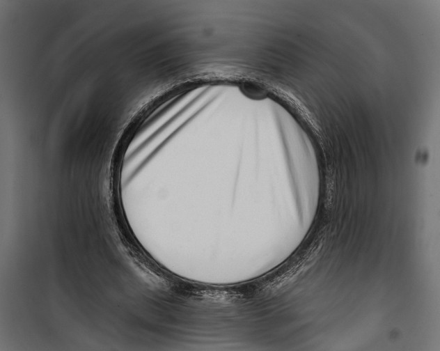 X0000099970439200806201405