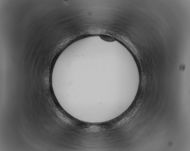 X0000099970441200806201405