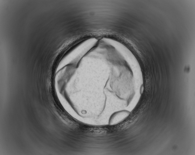 X0000099970443200806201405