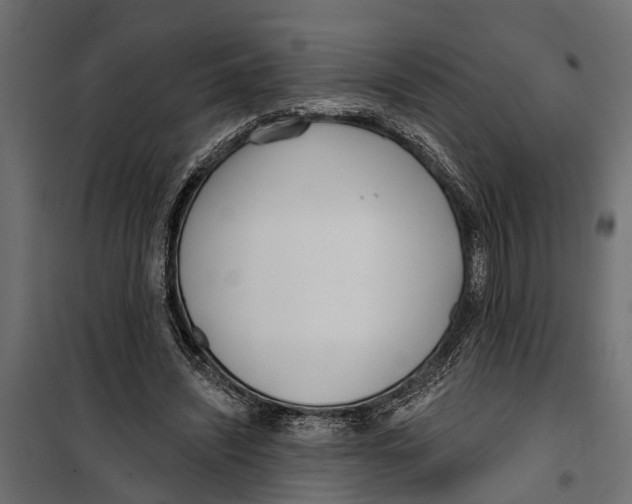 X0000099970444200806201405